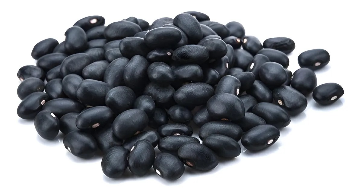 Feijão Preto