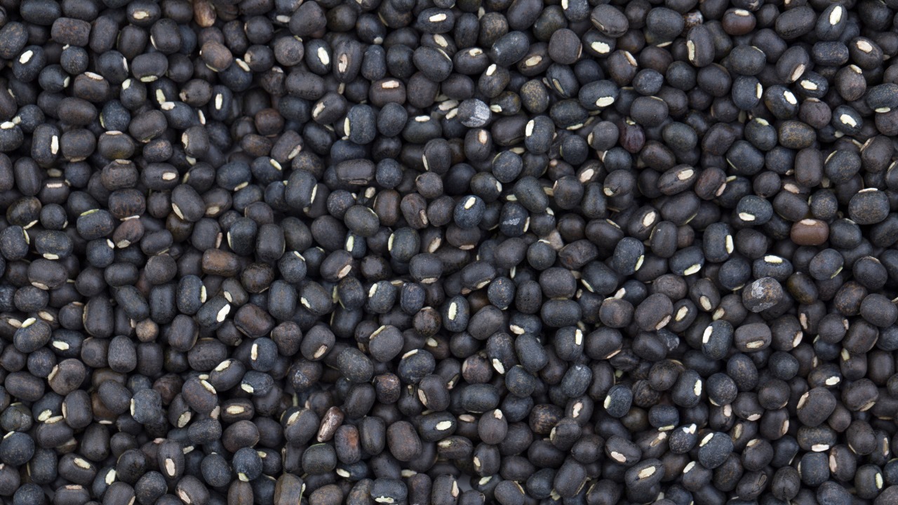 Feijão Mungo Preto